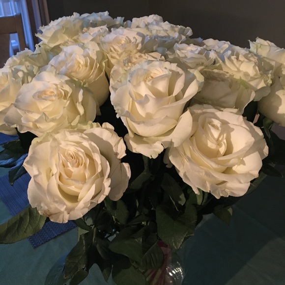 Meet your Posher, Mimi - Picture 4 of 5